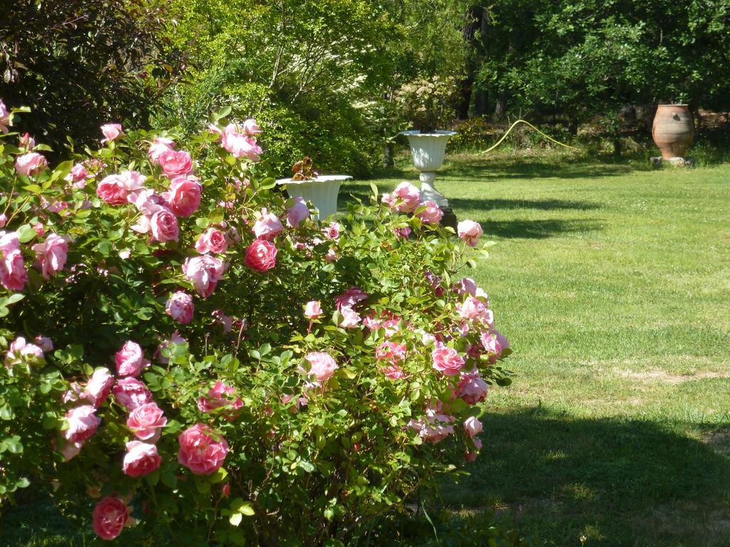 Domaine Du Planas Ailhon Ardeche Bed & Breakfast ห้อง รูปภาพ